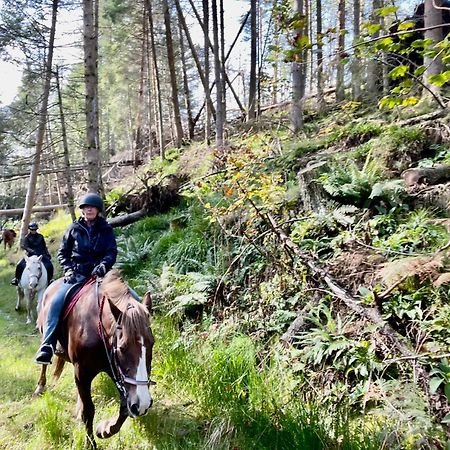 Scottish Equi B&B Lanark Exteriör bild